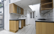 Workhouse Green kitchen extension leads